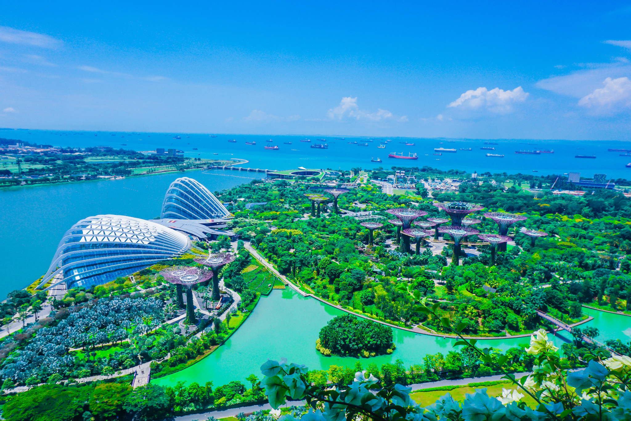 带麻麻看遍世界的花之花园城市—新加坡