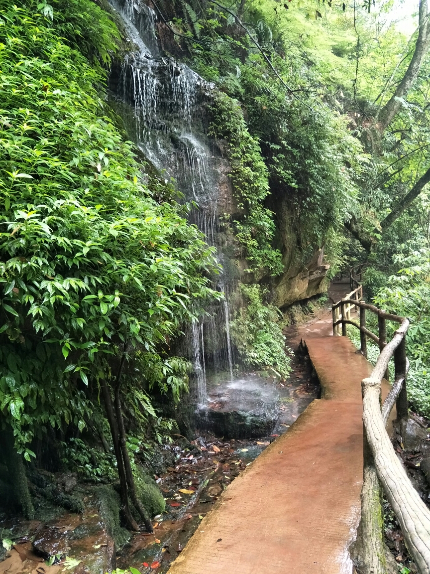 雅雨-雅魚-雅女 碧峰峽-上裡古鎮-雅州廊橋一日遊自駕遊,雅安旅遊攻略