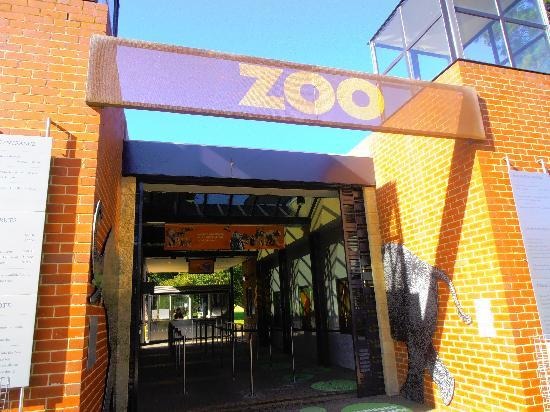 墨尔本美食-Melbourne Zoo Cafeteria