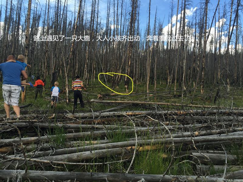 美国15日游长岛黄石露营曼哈顿费城六旗大冒险游乐园