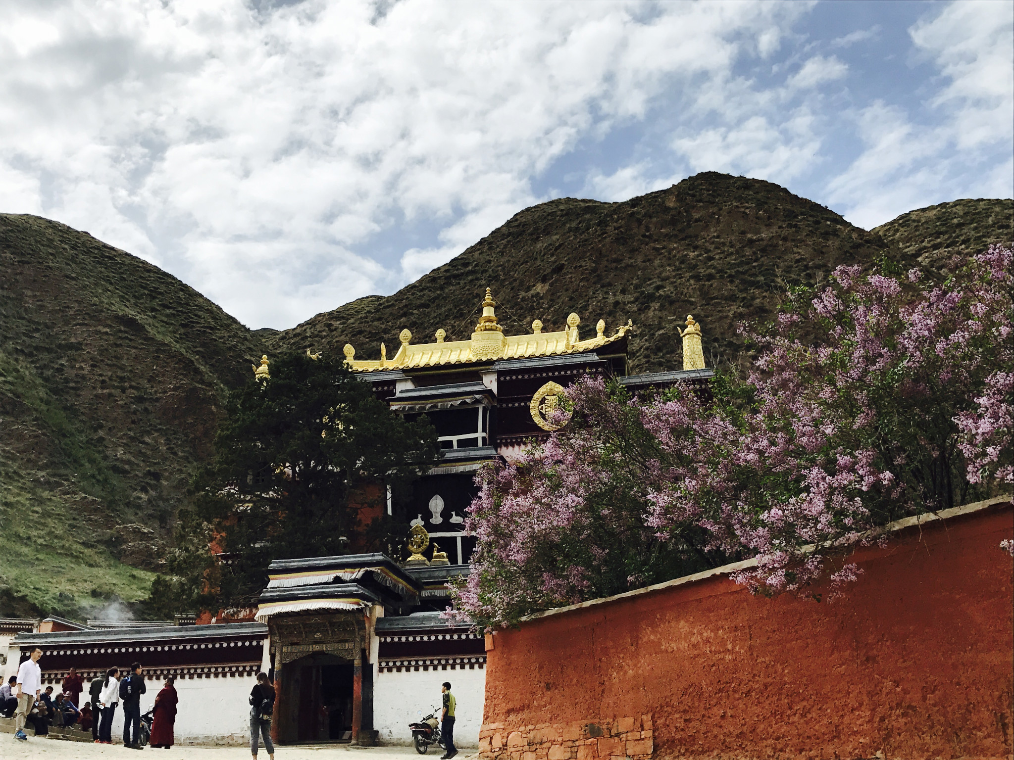 游走甘南道心留扎尕那