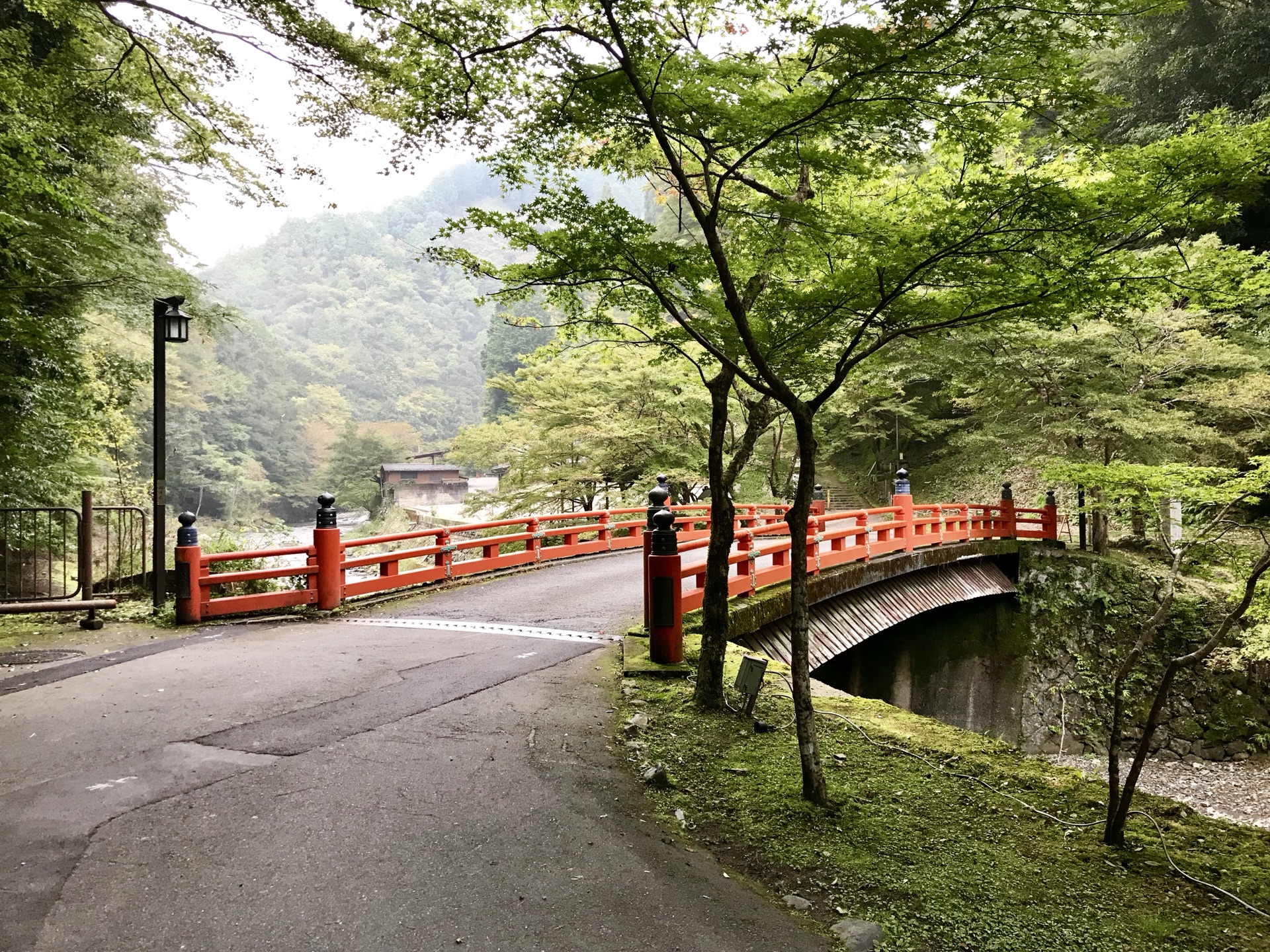 京都自助遊攻略