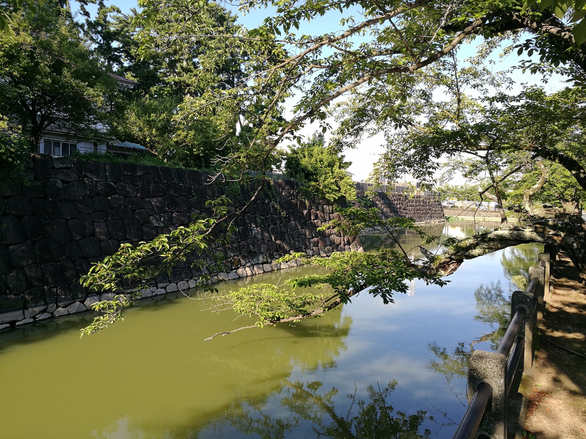 箱根自助遊攻略