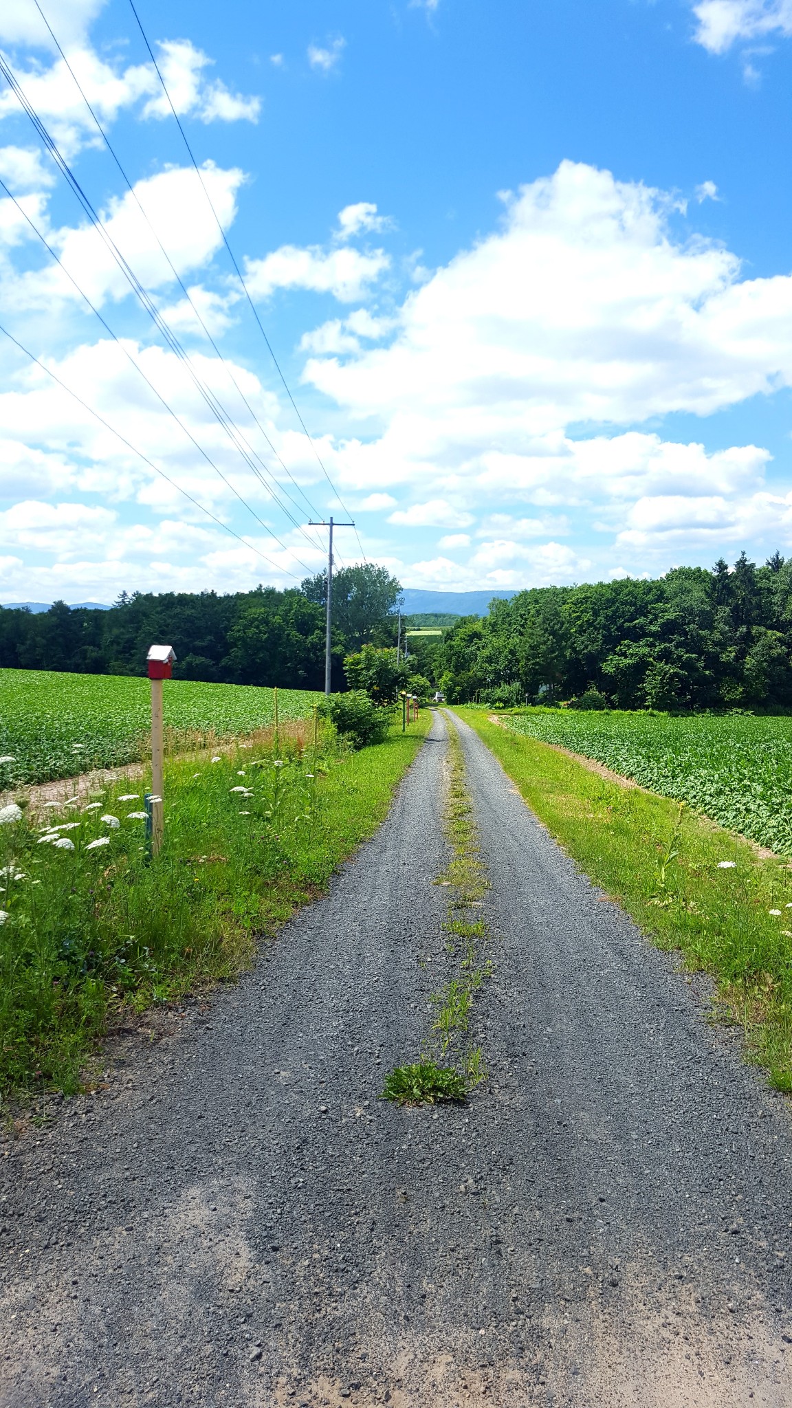 北海道自助遊攻略