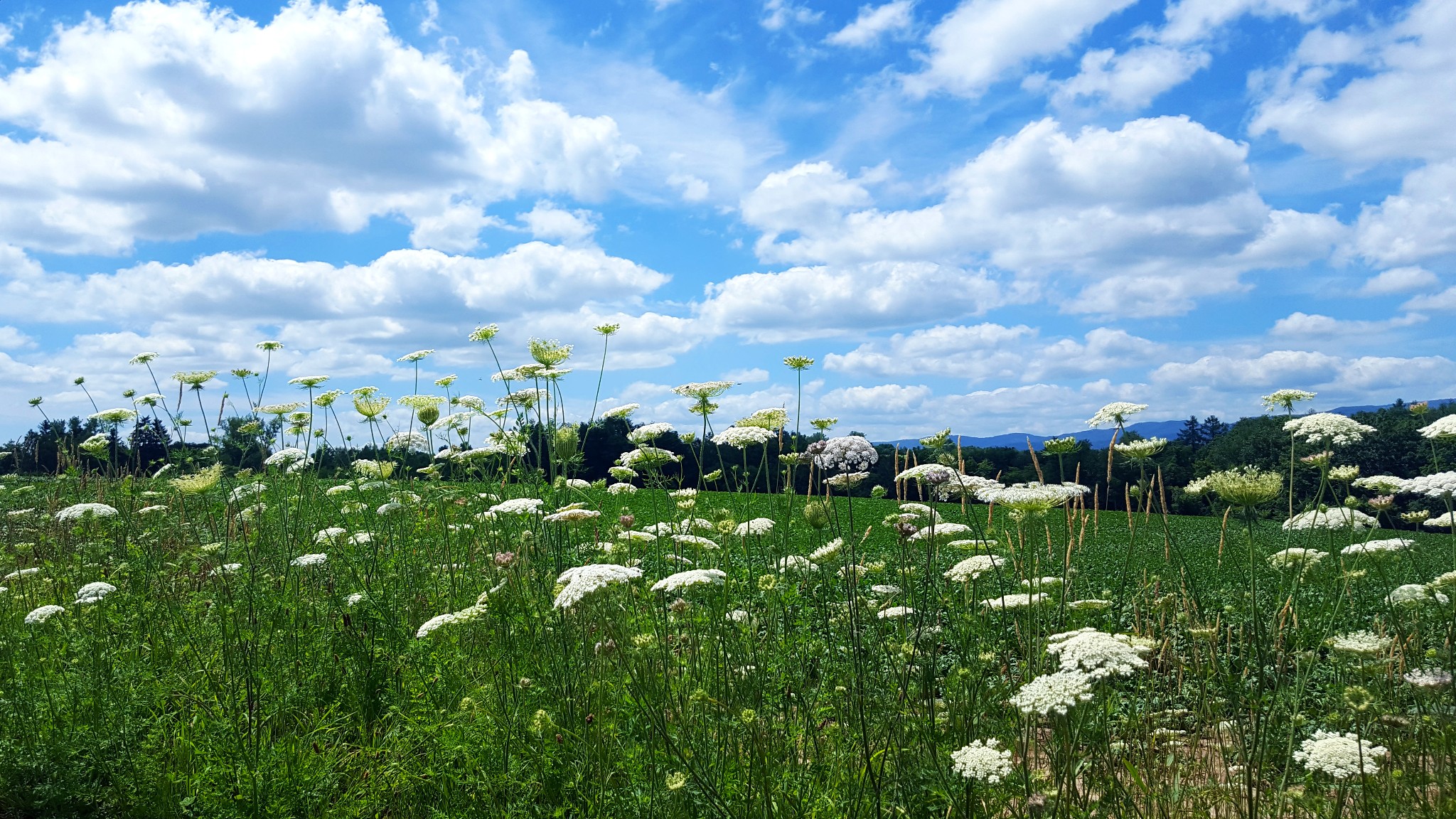 北海道自助遊攻略