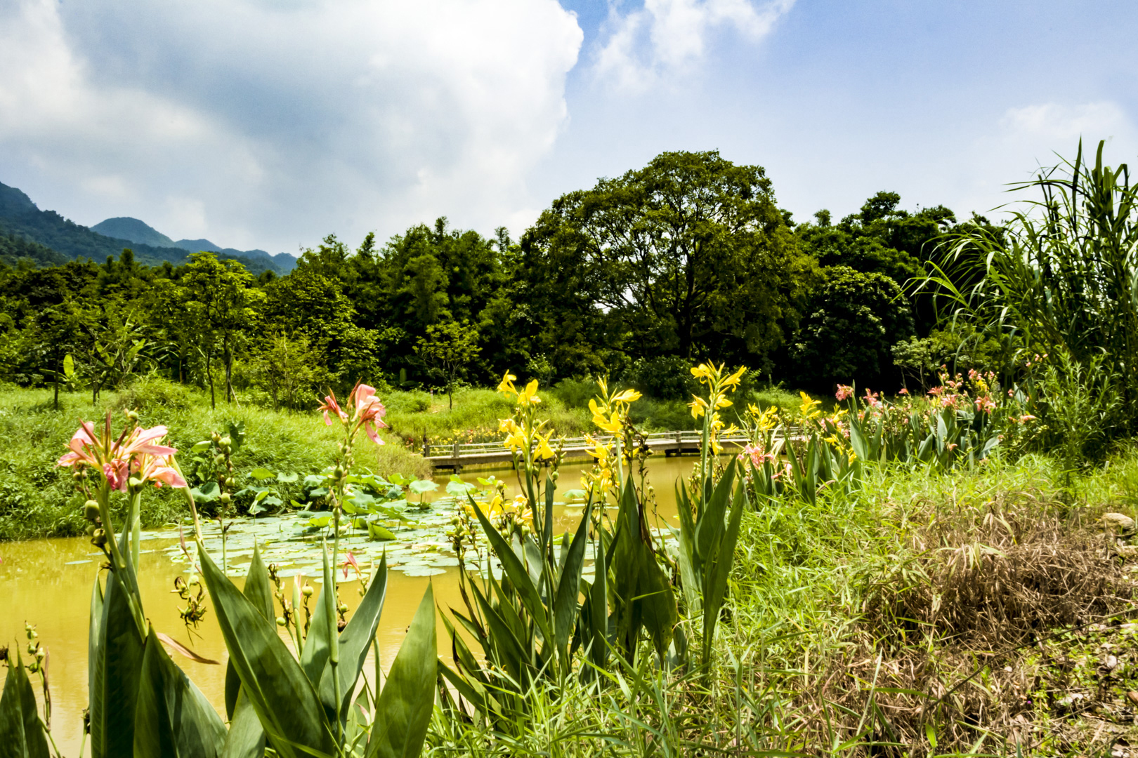 六月旅游诗（6月的旅游胜地）《六月旅游文案朋友圈》