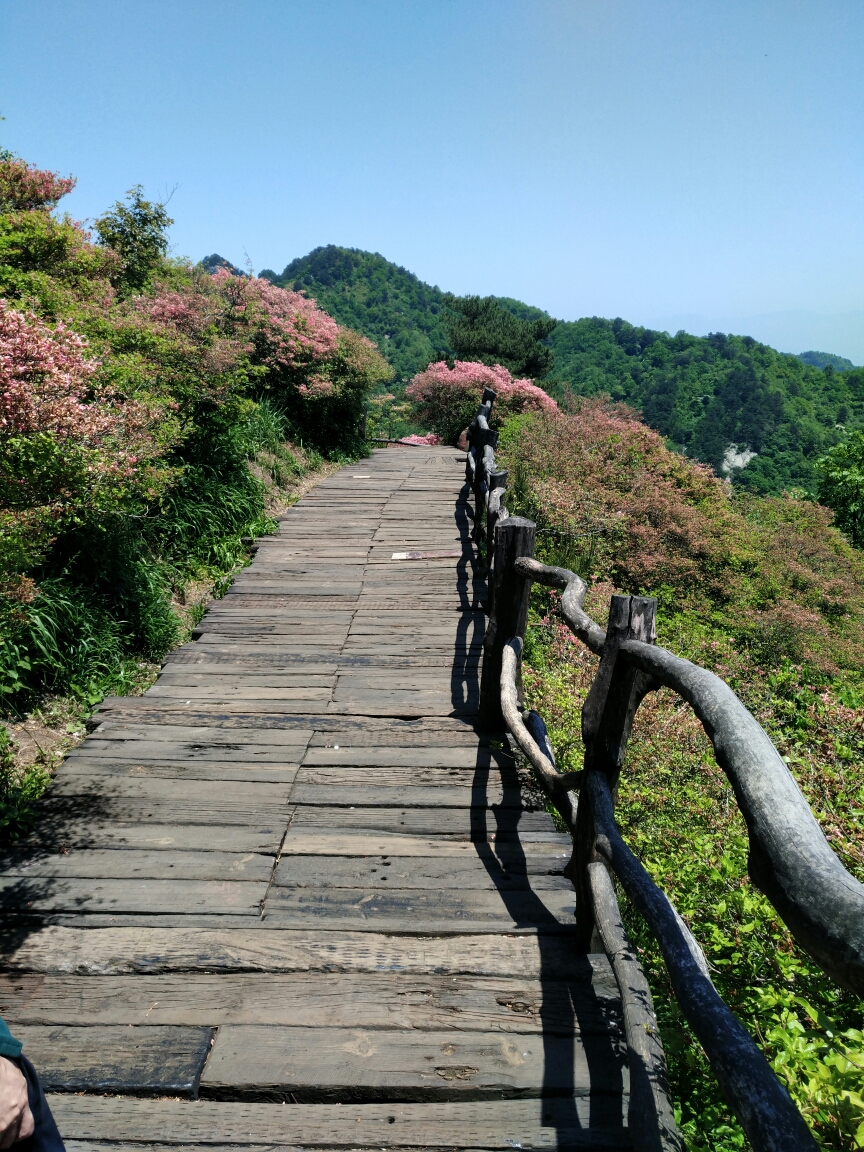 麻城龜峰山與桐梘衝瀑布群,武漢自助遊攻略 - 馬蜂窩