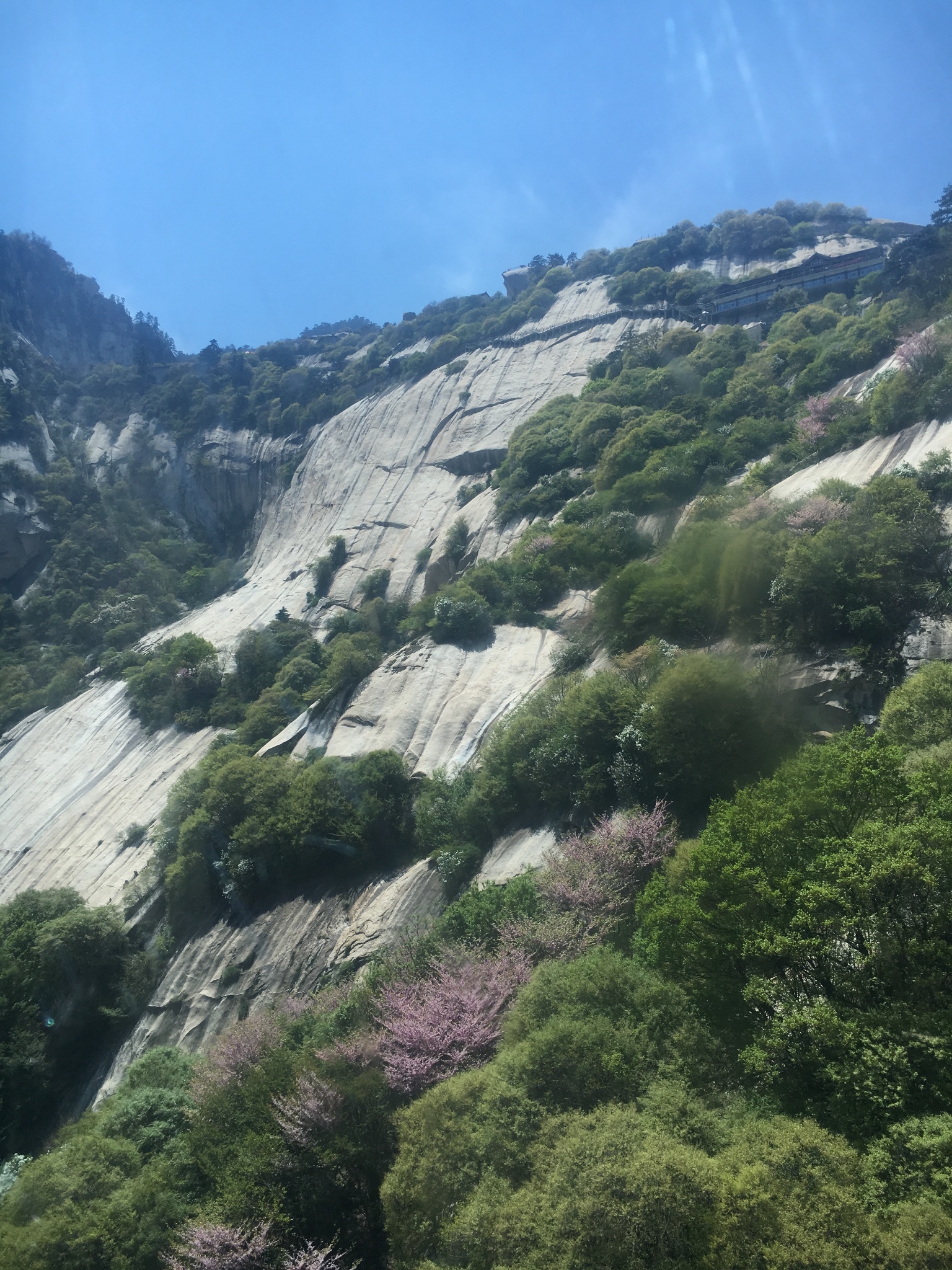 wKgBZ1kF-GiAdEMZABXtb6rxpNY30.jpeg?imageView2%2F2%2Fw%2F680%2Fq%2F90%7CimageMogr2%2Fstrip%2Fquality%2F90