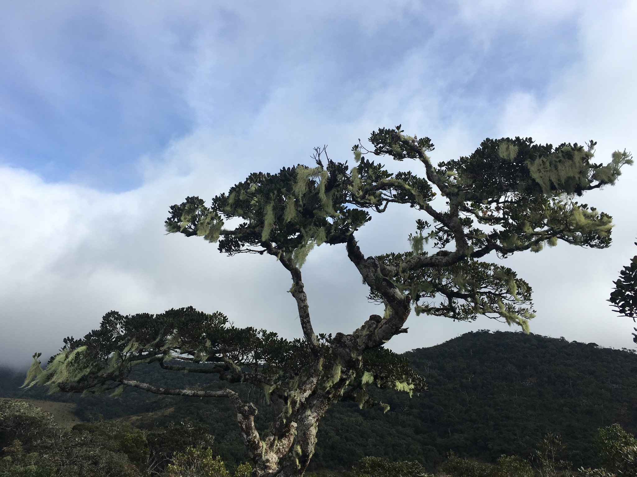 努沃勒埃利耶自助遊攻略