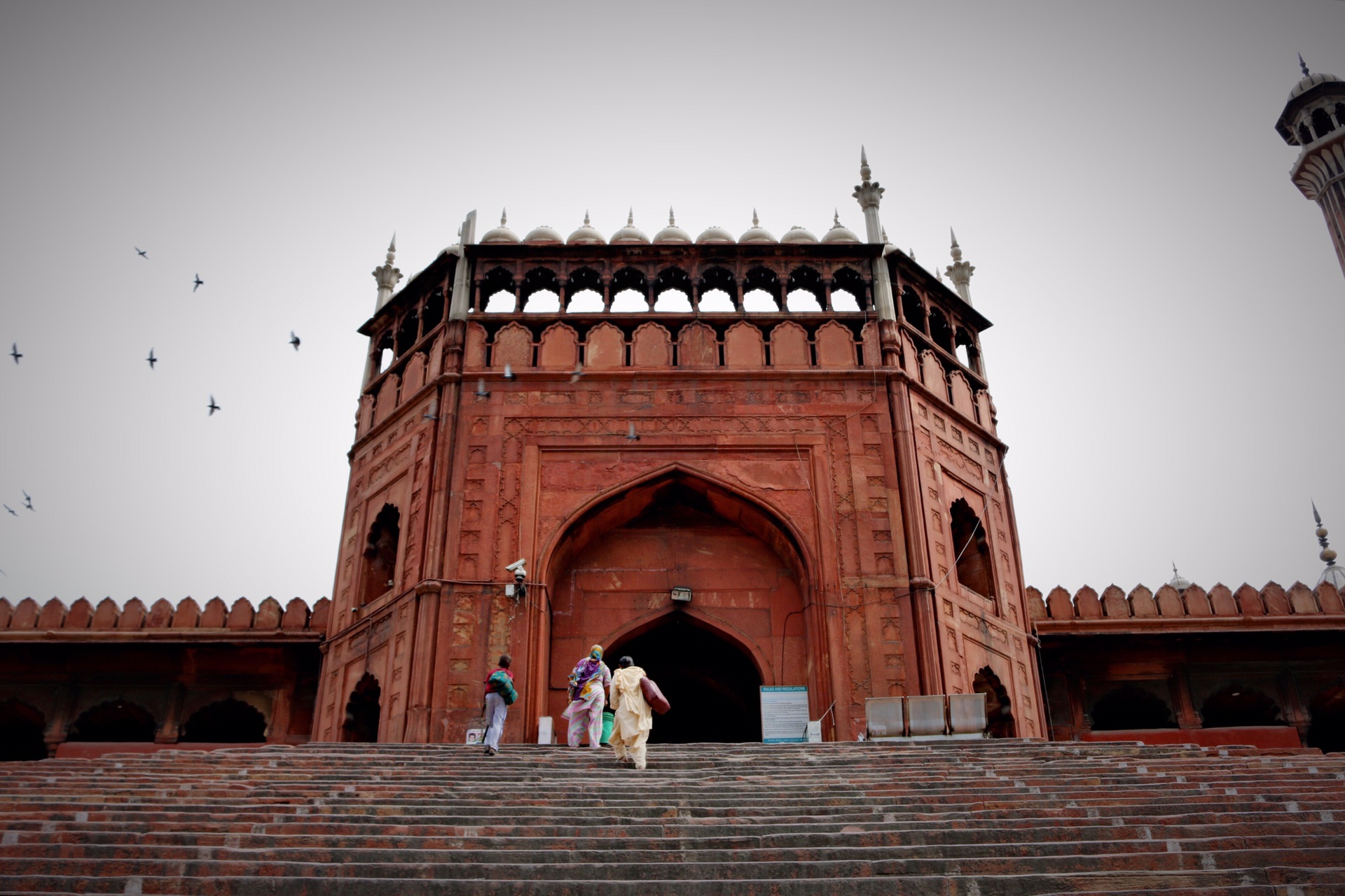 india五月奔跑在40的天竺国