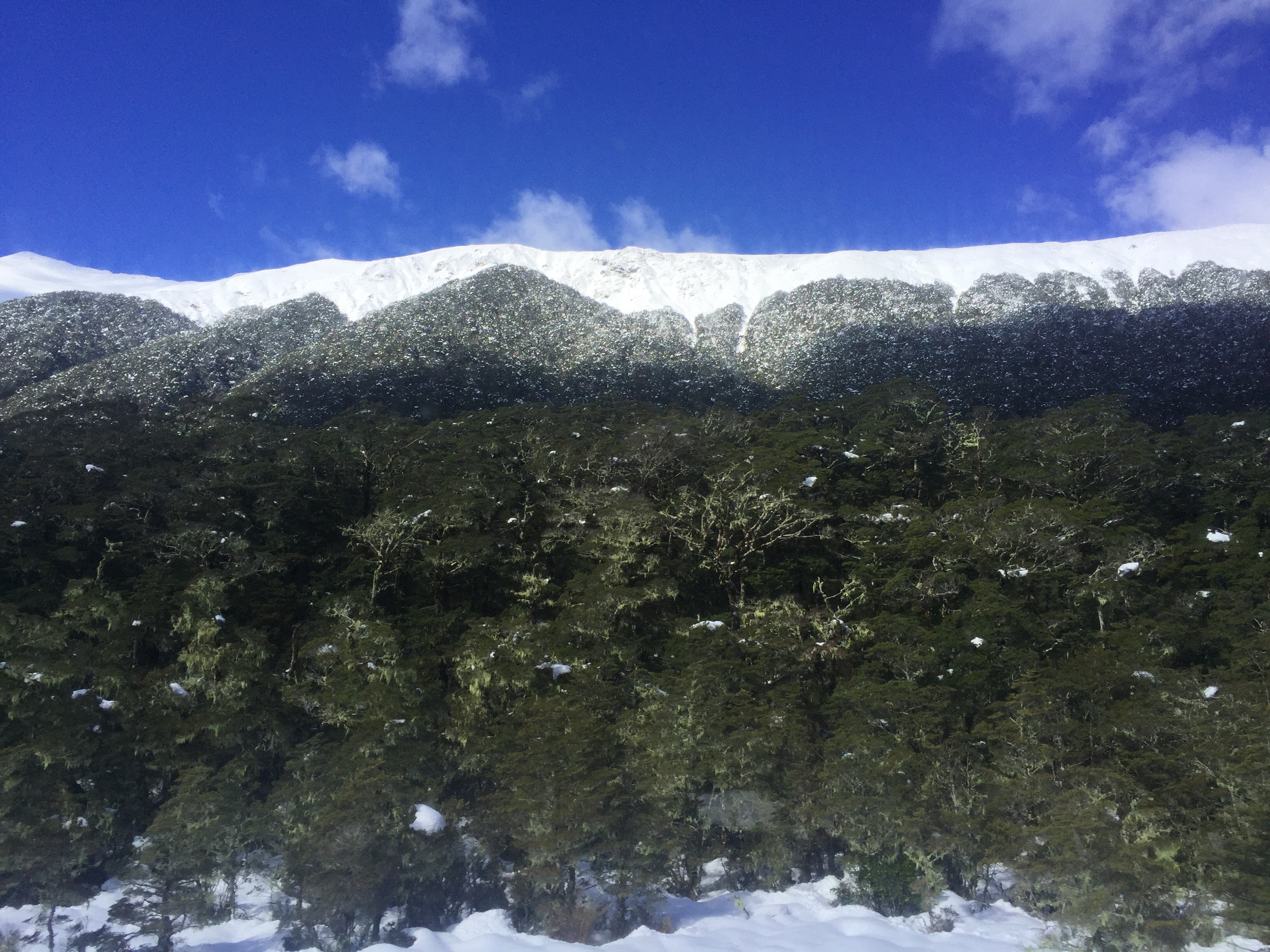 胡鲁努伊娱乐-Alpine Nature Walk