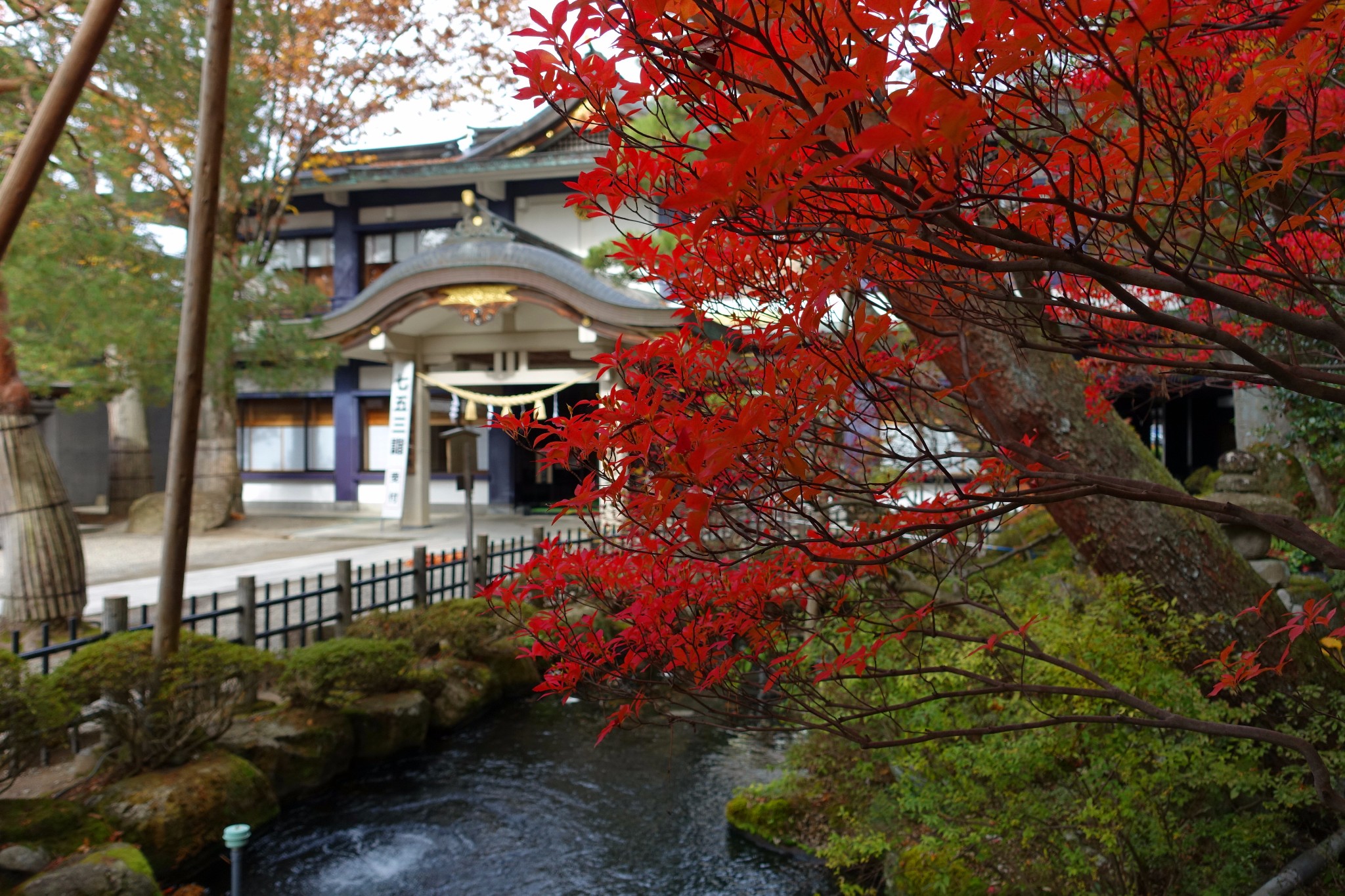 金秋11月日本中部北陸升龍道溫泉美食賞楓之旅vv