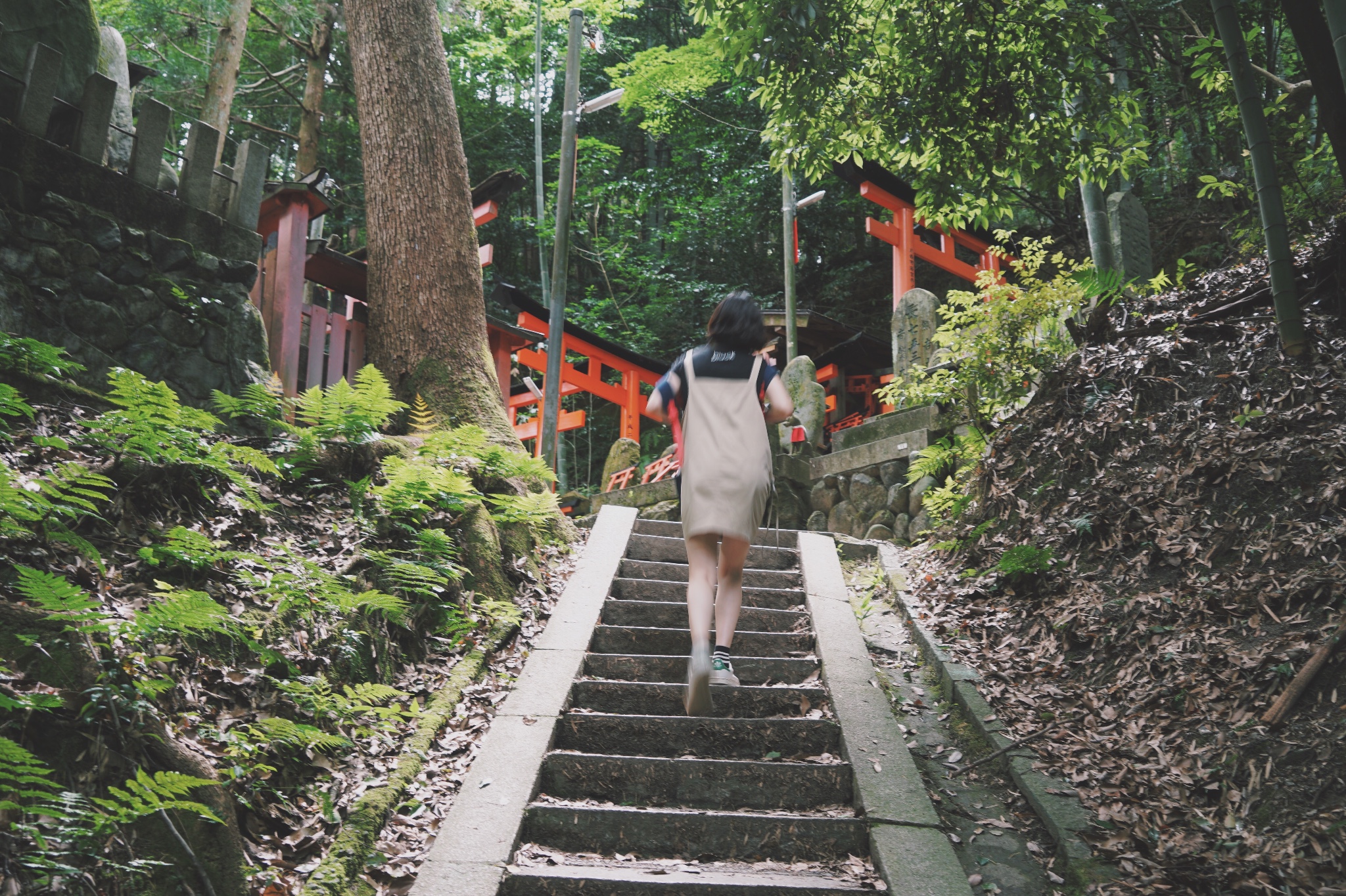 京都自助遊攻略