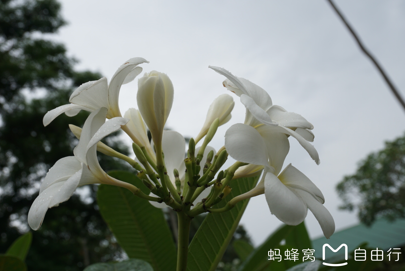 馬尼拉自助遊攻略