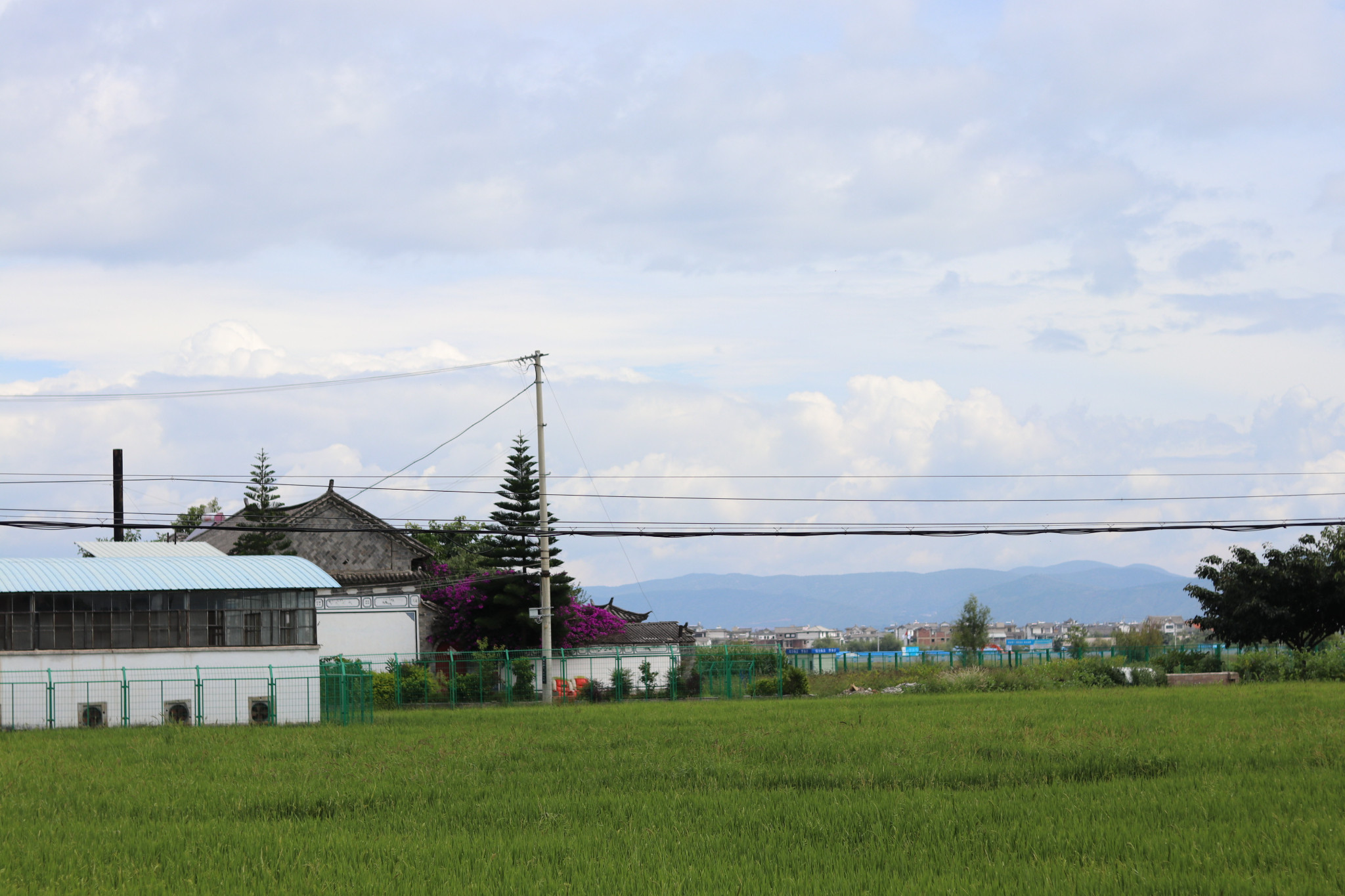 翔龙村翔龙村翔龙村翔龙村双廊,期待你凤凰涅槃的故事双廊双廊双廊