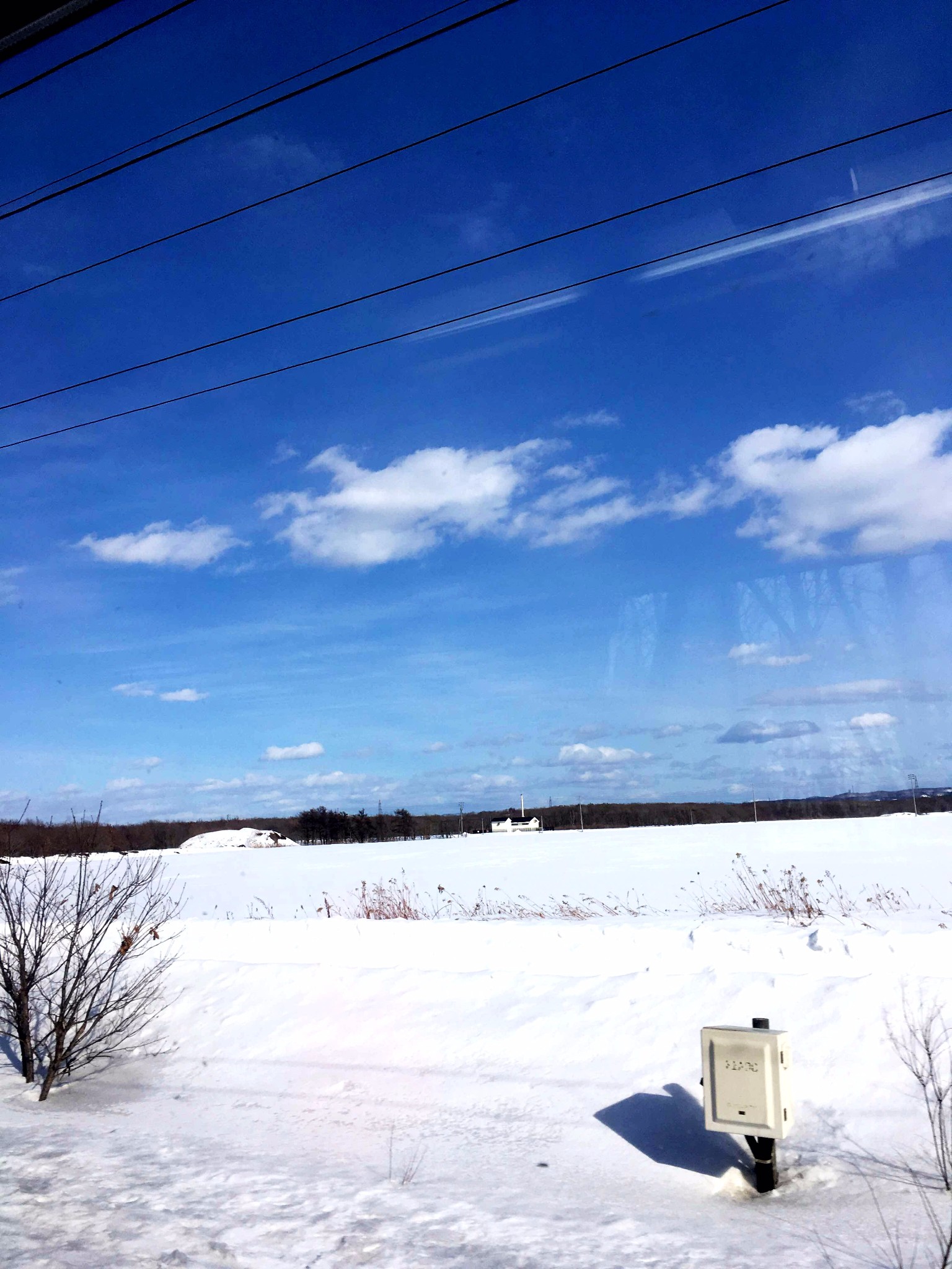 北海道自助遊攻略