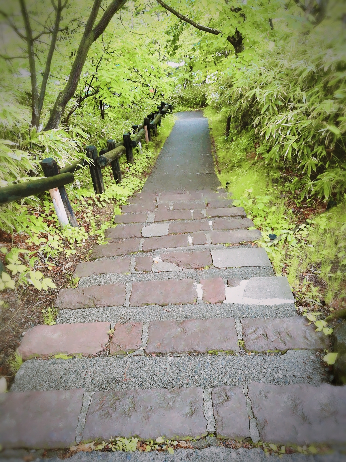 北海道自助遊攻略