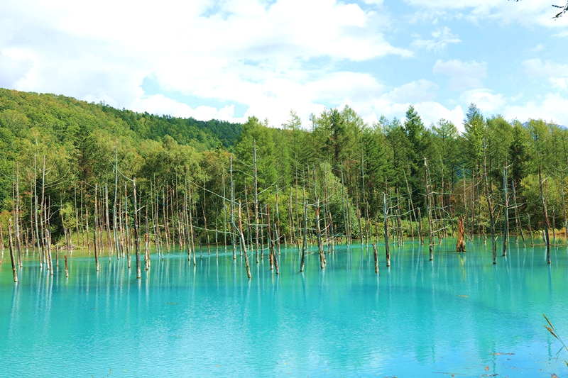 北海道自助遊攻略