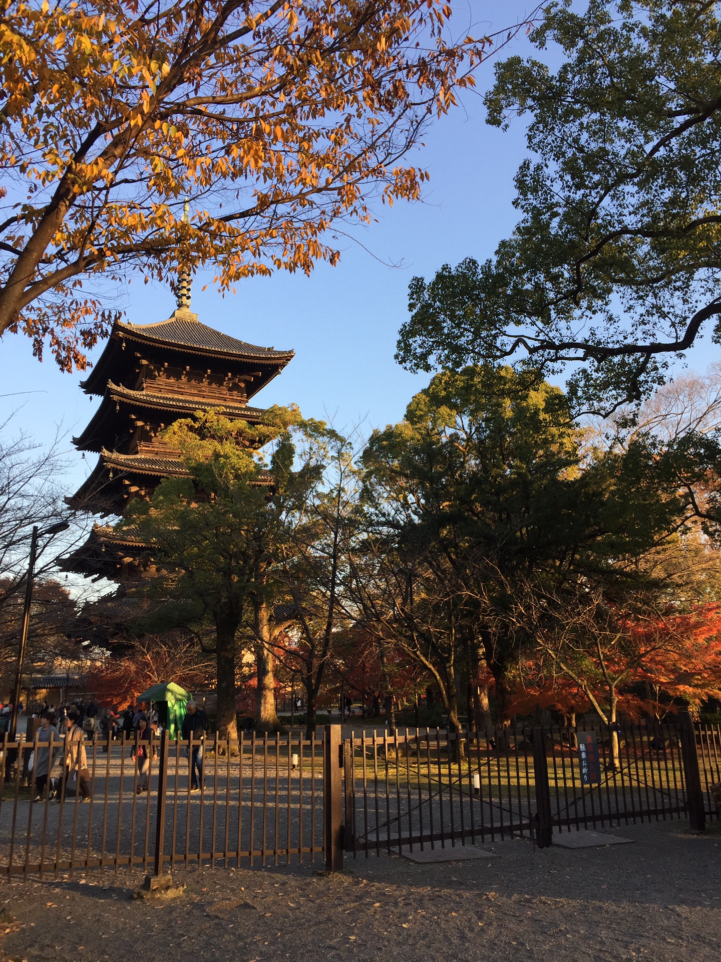 京都自助遊攻略