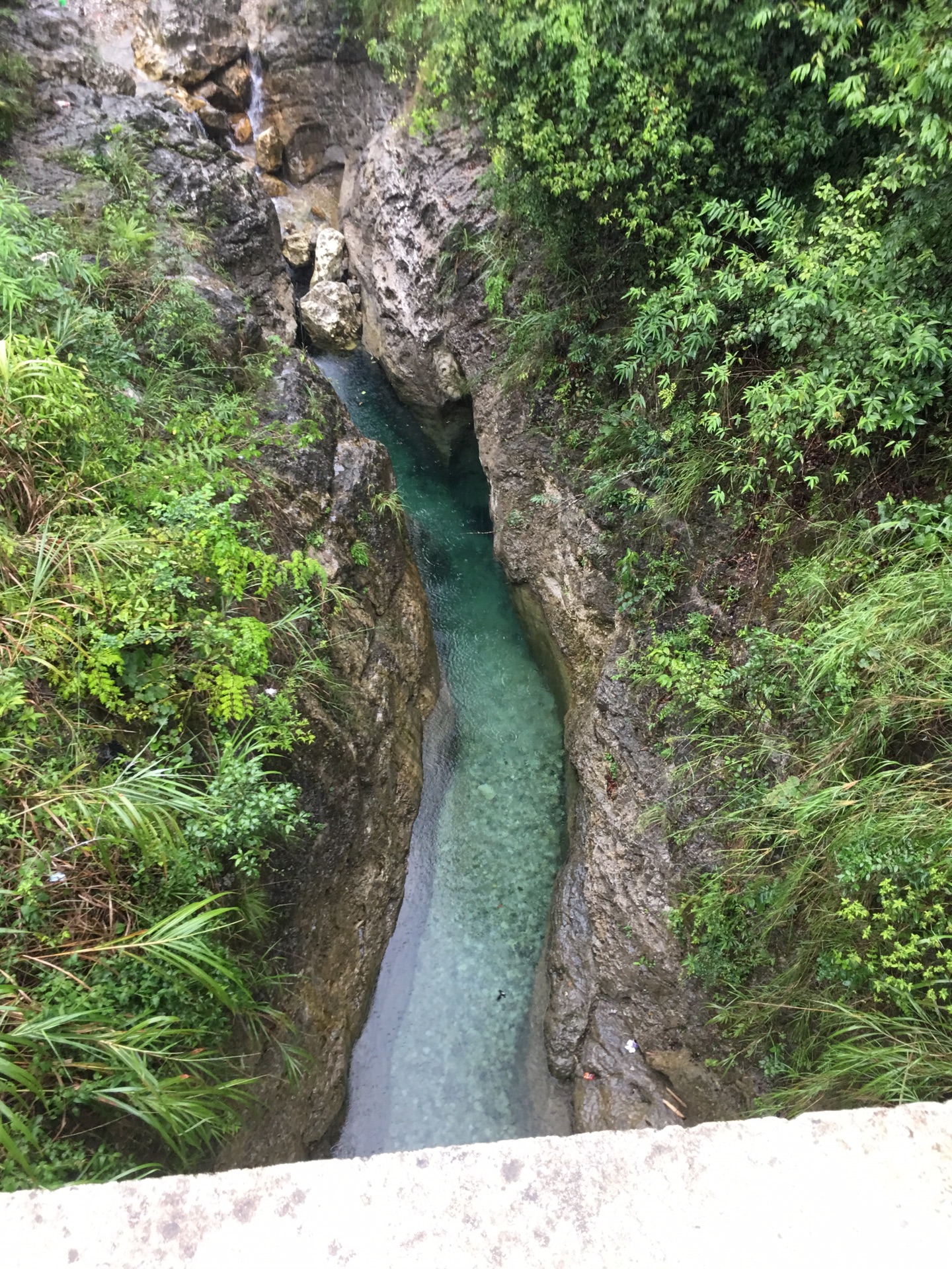 蚂蝗沟图片