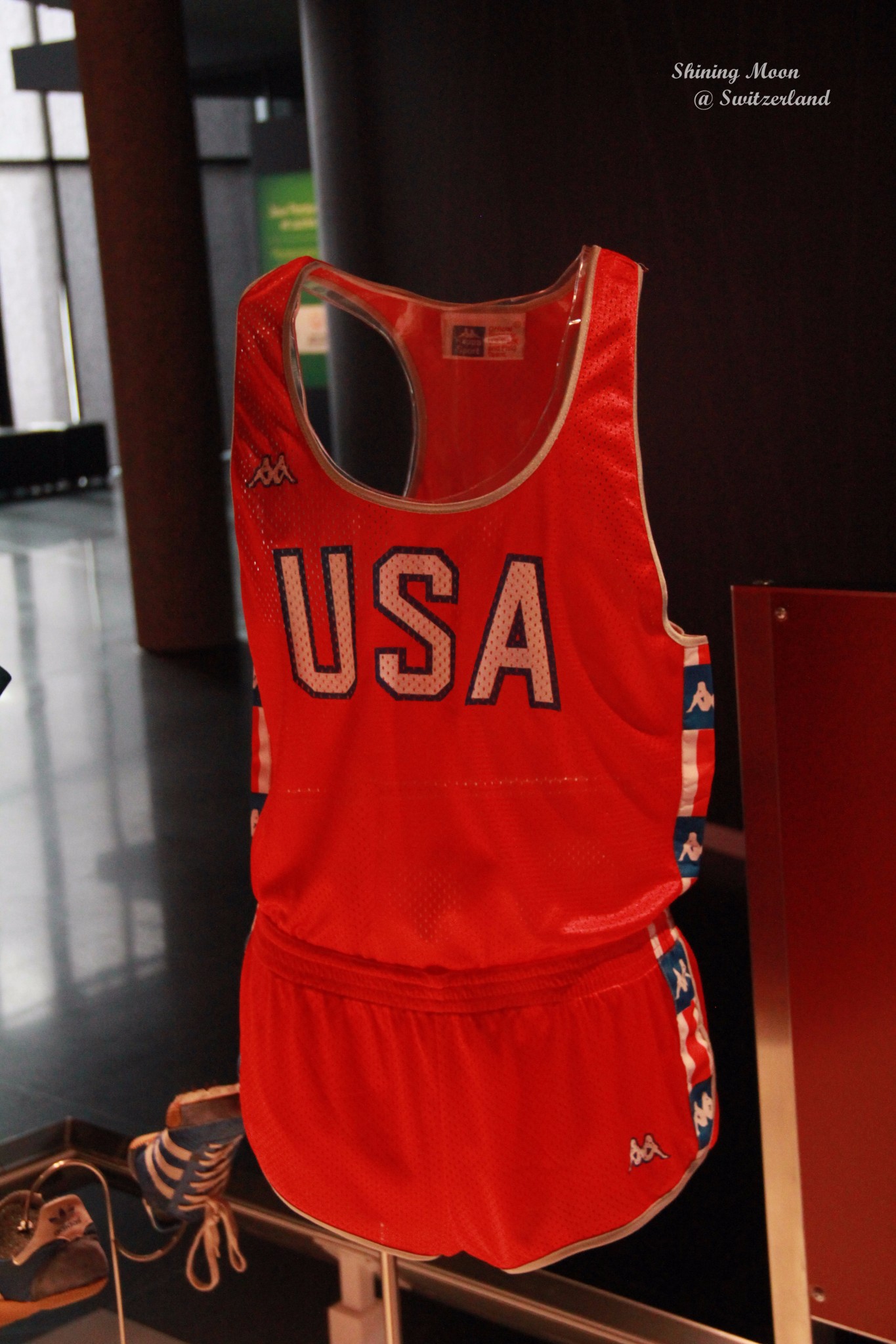 shiningmoon瑞士你是我心内的一首歌