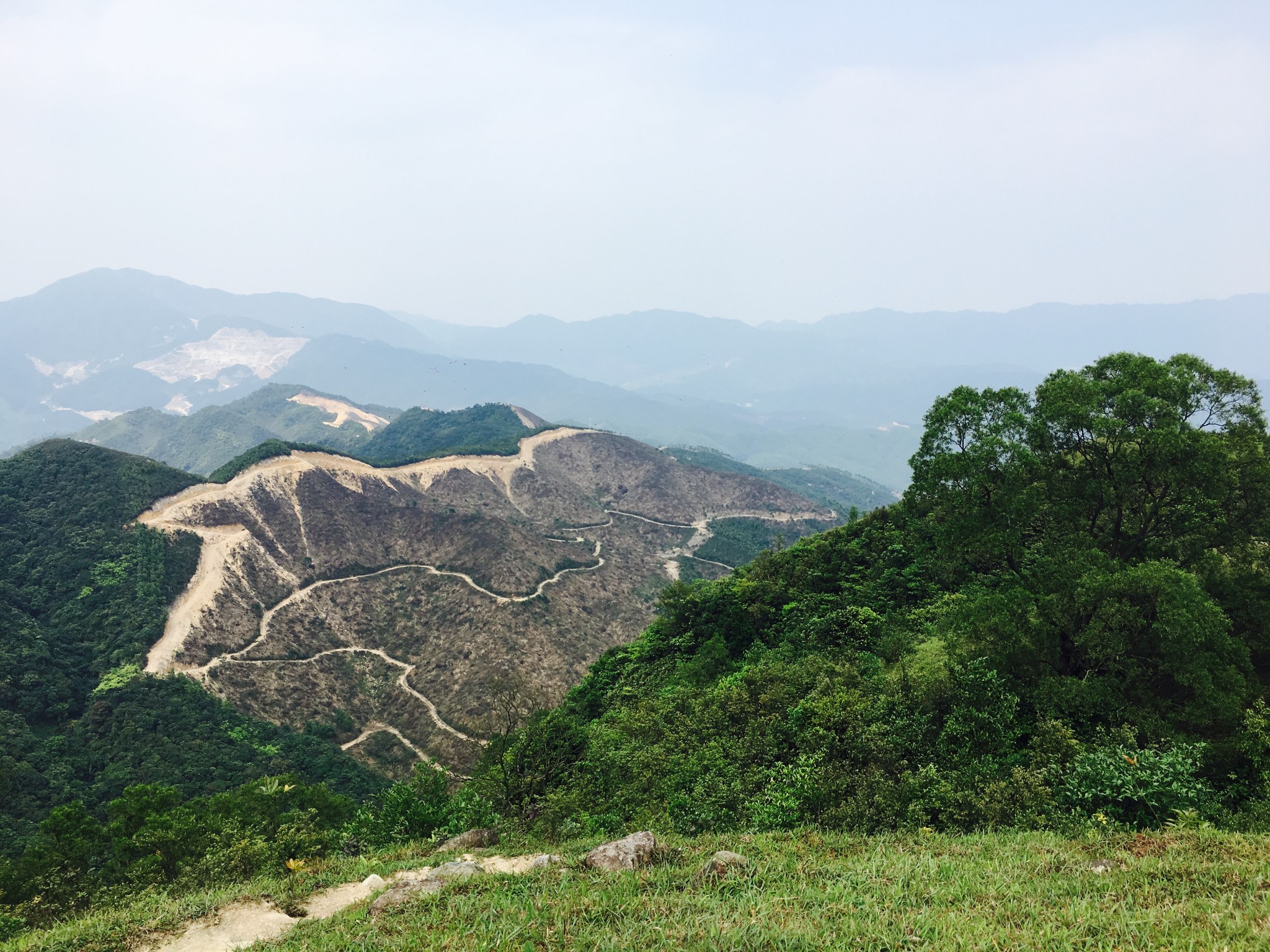 高山绿色草甸上的悠哉牛牛——记江门恩平龙头岭轻松一日行,江门自助