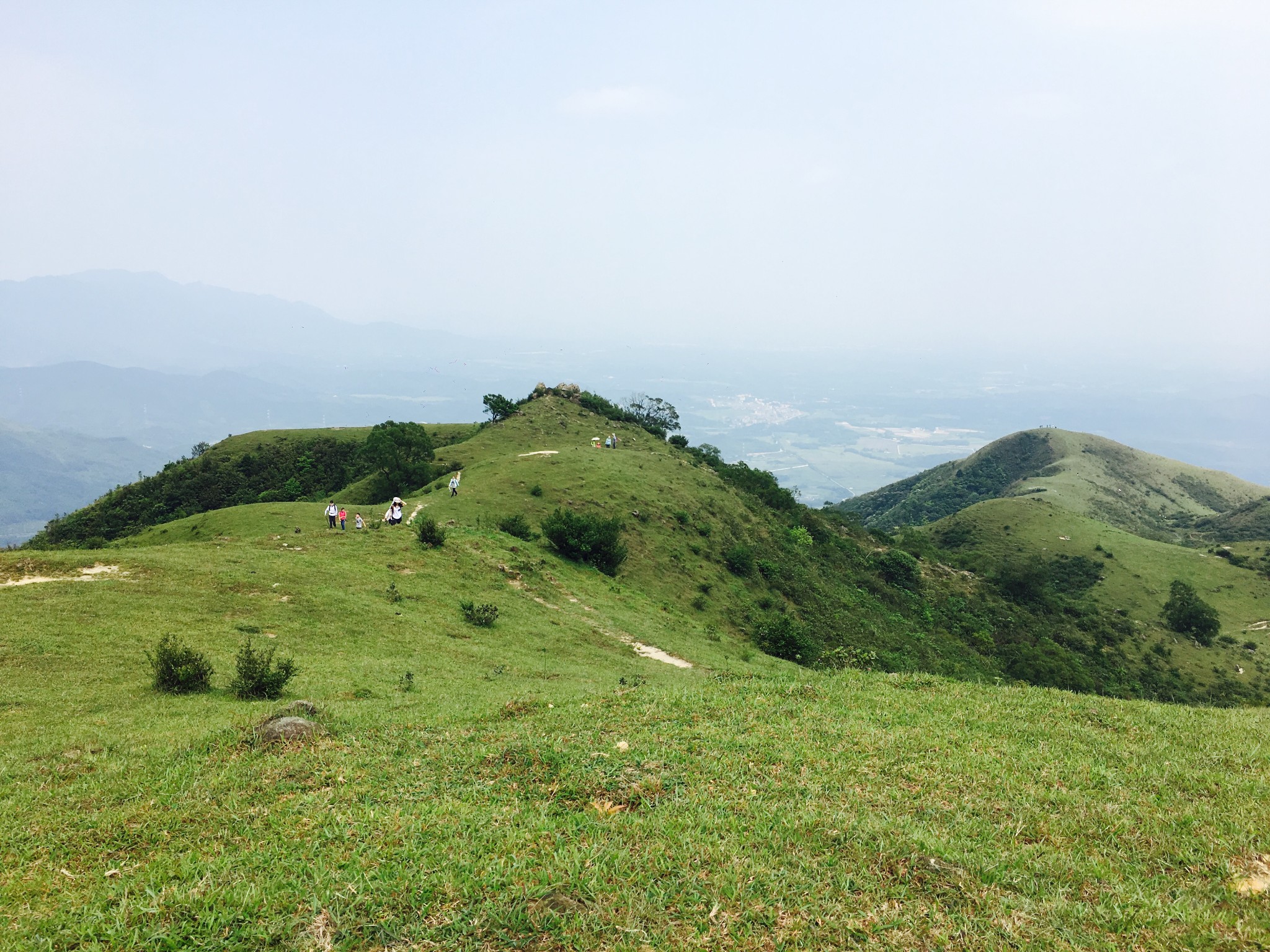 高山绿色草甸上的悠哉牛牛——记江门恩平龙头岭轻松一日行,江门自助