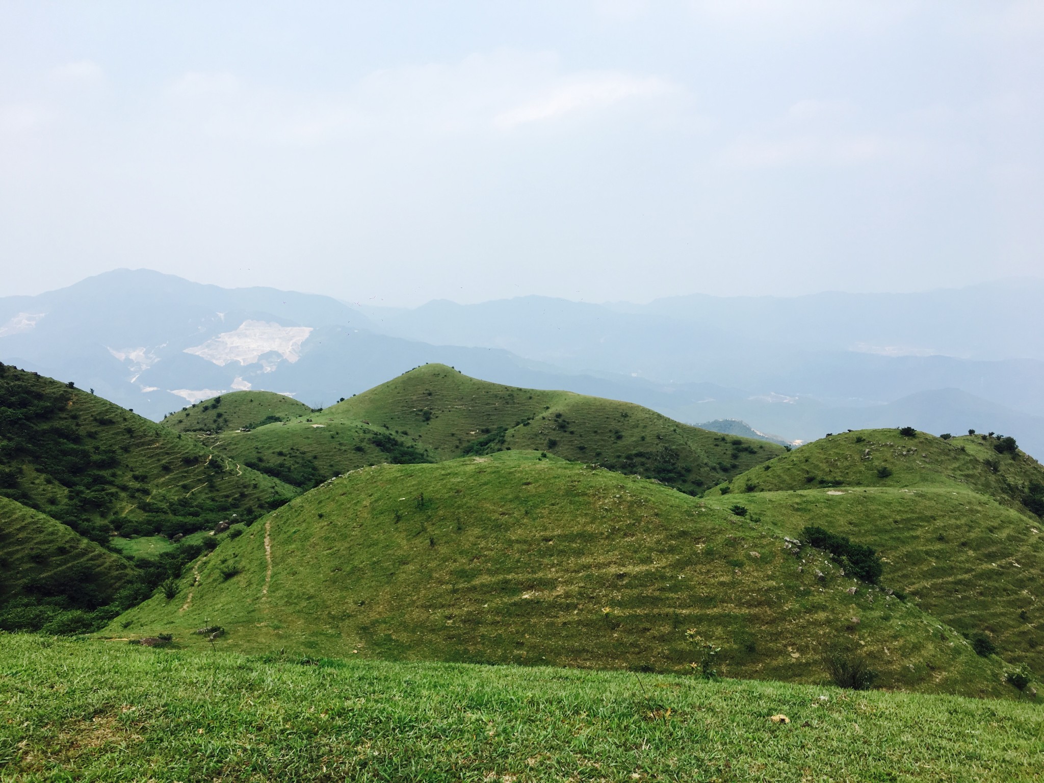高山绿色草甸上的悠哉牛牛——记江门恩平龙头岭轻松一日行,江门自助