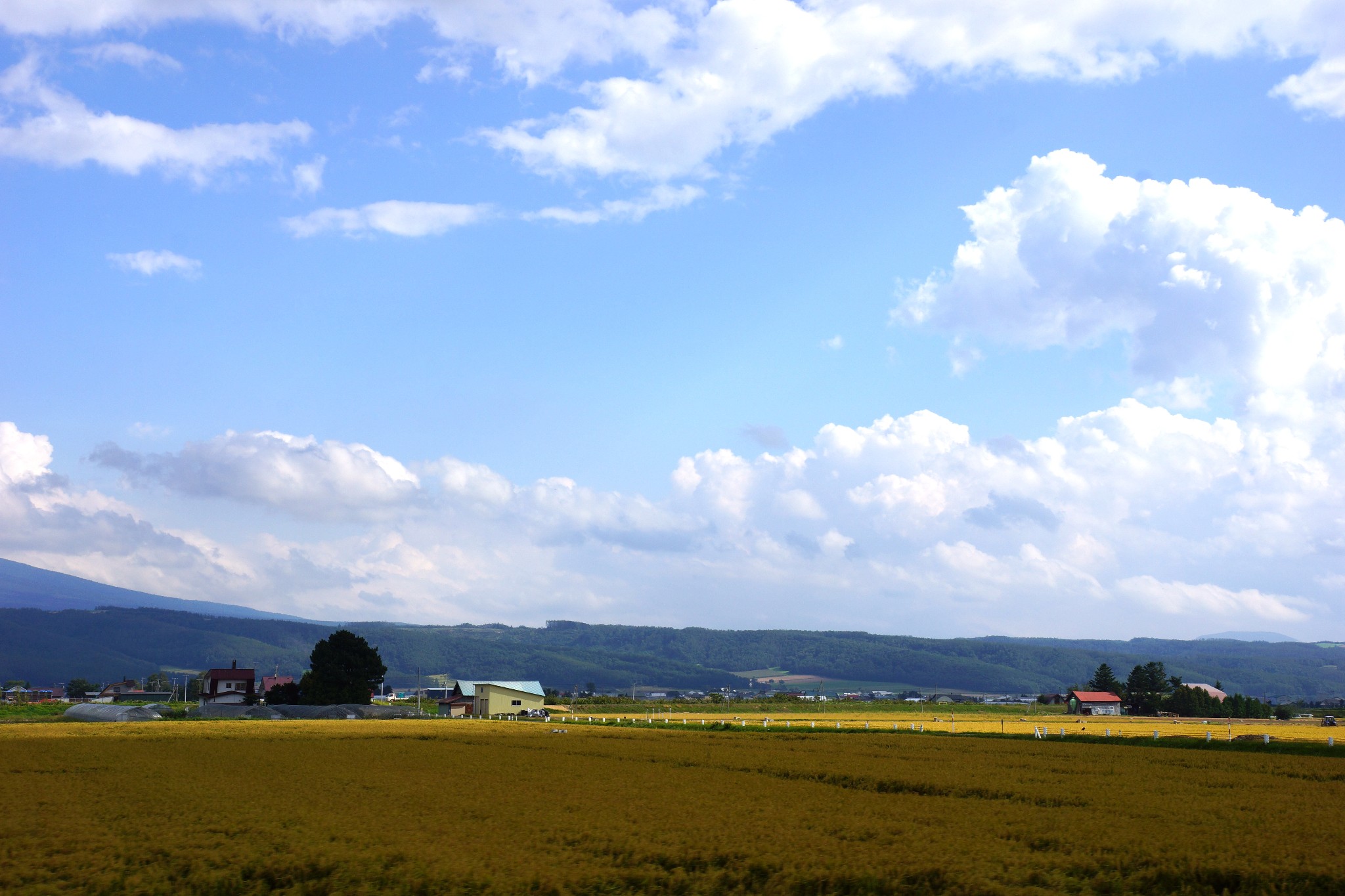 北海道自助遊攻略