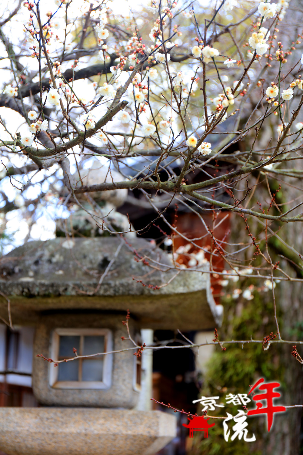 京都自助遊攻略