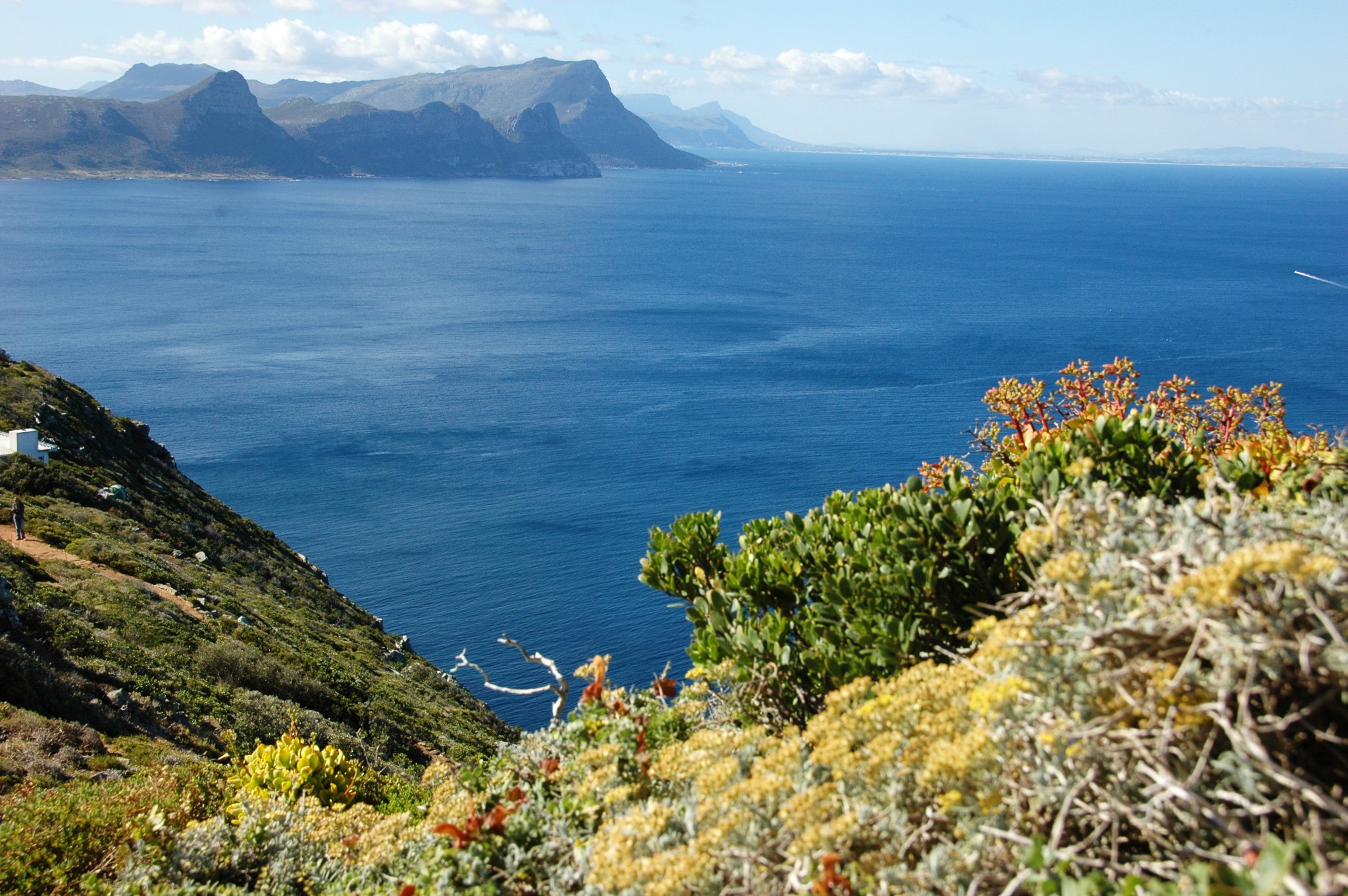 2022好望角自然保护区旅游攻略,好望角自然保护区自由行攻略,马蜂窝