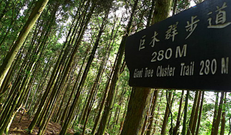 赠旅行险 私家定制团 全台湾经典环岛游10天9晚小包团 体验日月潭游湖 阿里山赏云瀑 畅游垦丁蓝海 探访太鲁阁秘境 马蜂窝自由行