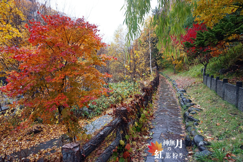 北海道自助遊攻略