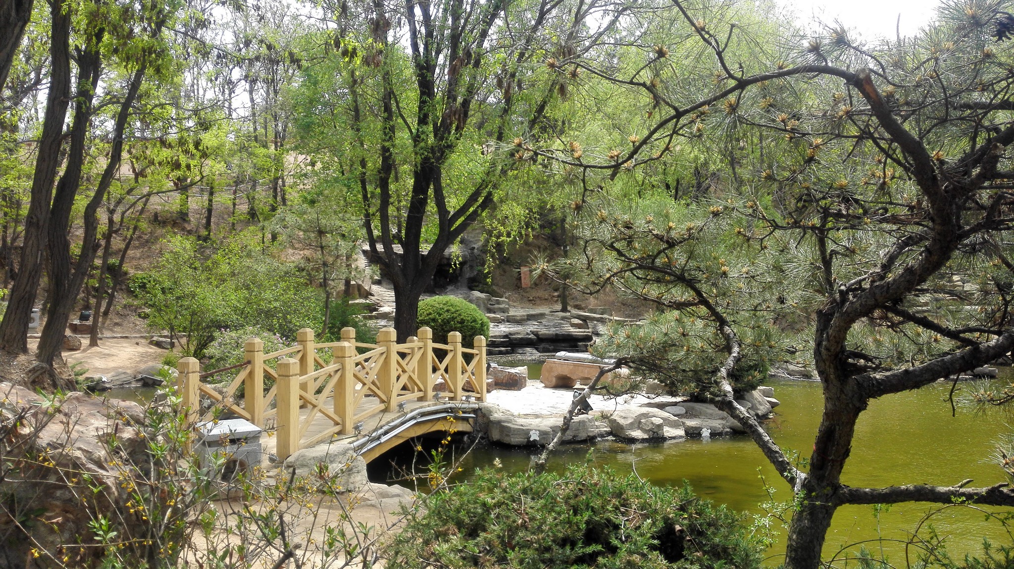 家乡美---葫芦岛(龙岗公园,报晓园)