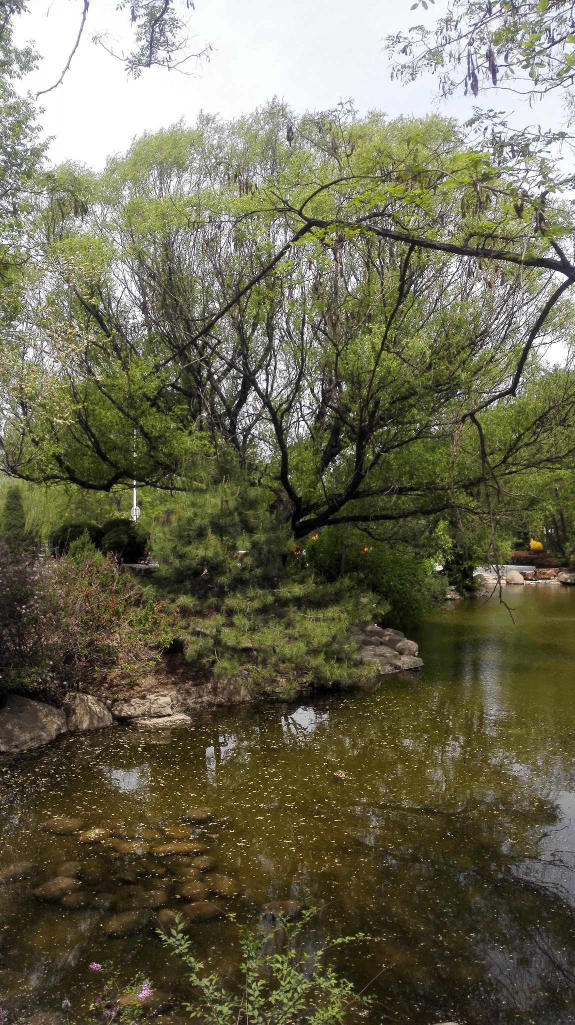 家乡美---葫芦岛(龙岗公园,报晓园)