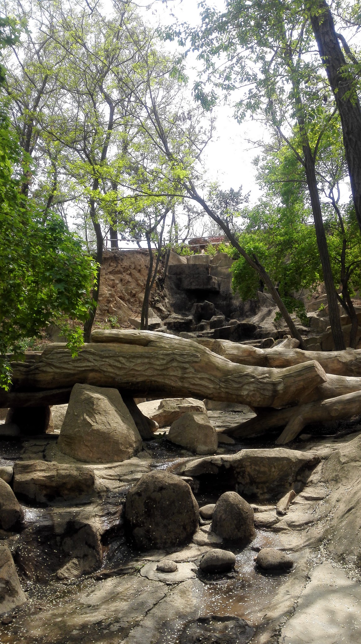 家乡美---葫芦岛(龙岗公园,报晓园)