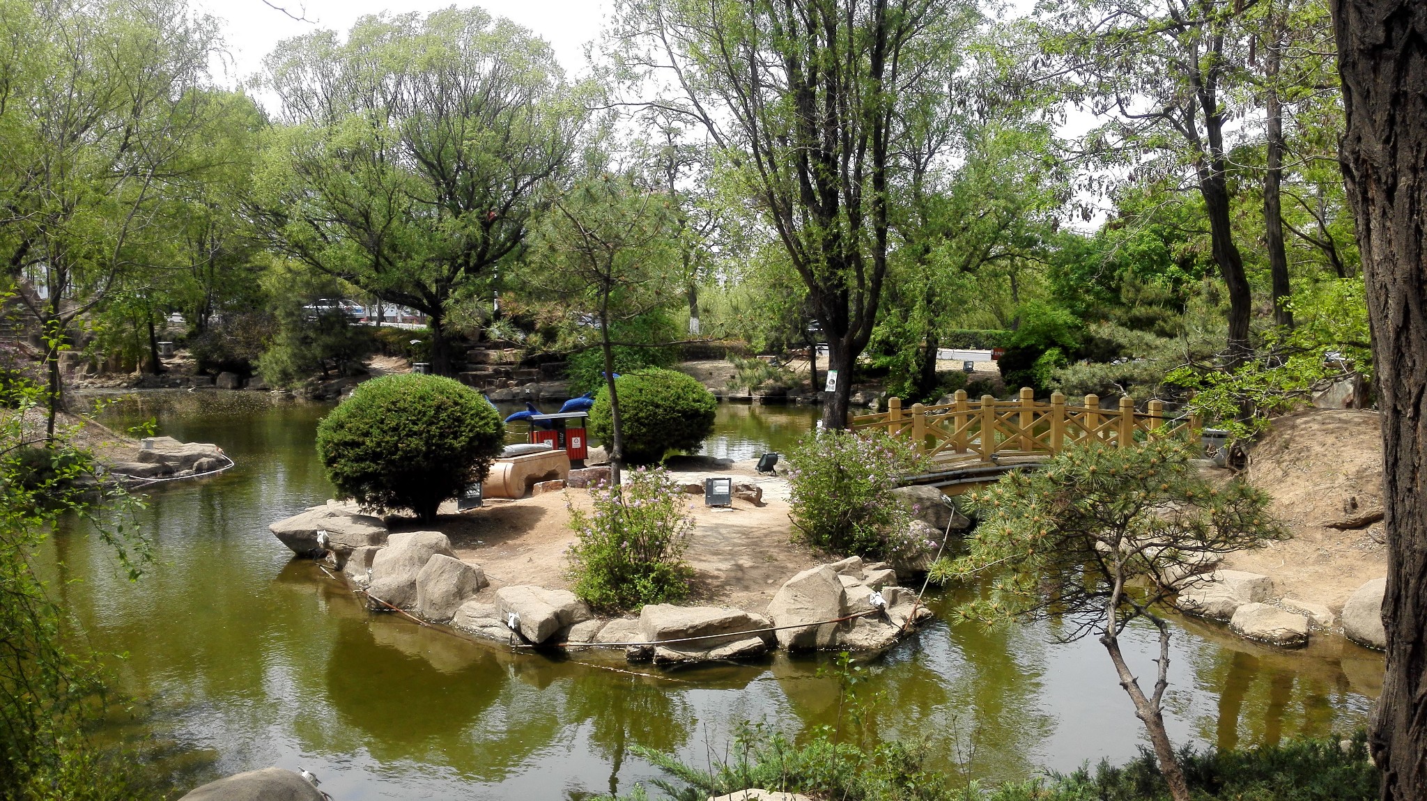 家乡美---葫芦岛(龙岗公园,报晓园)