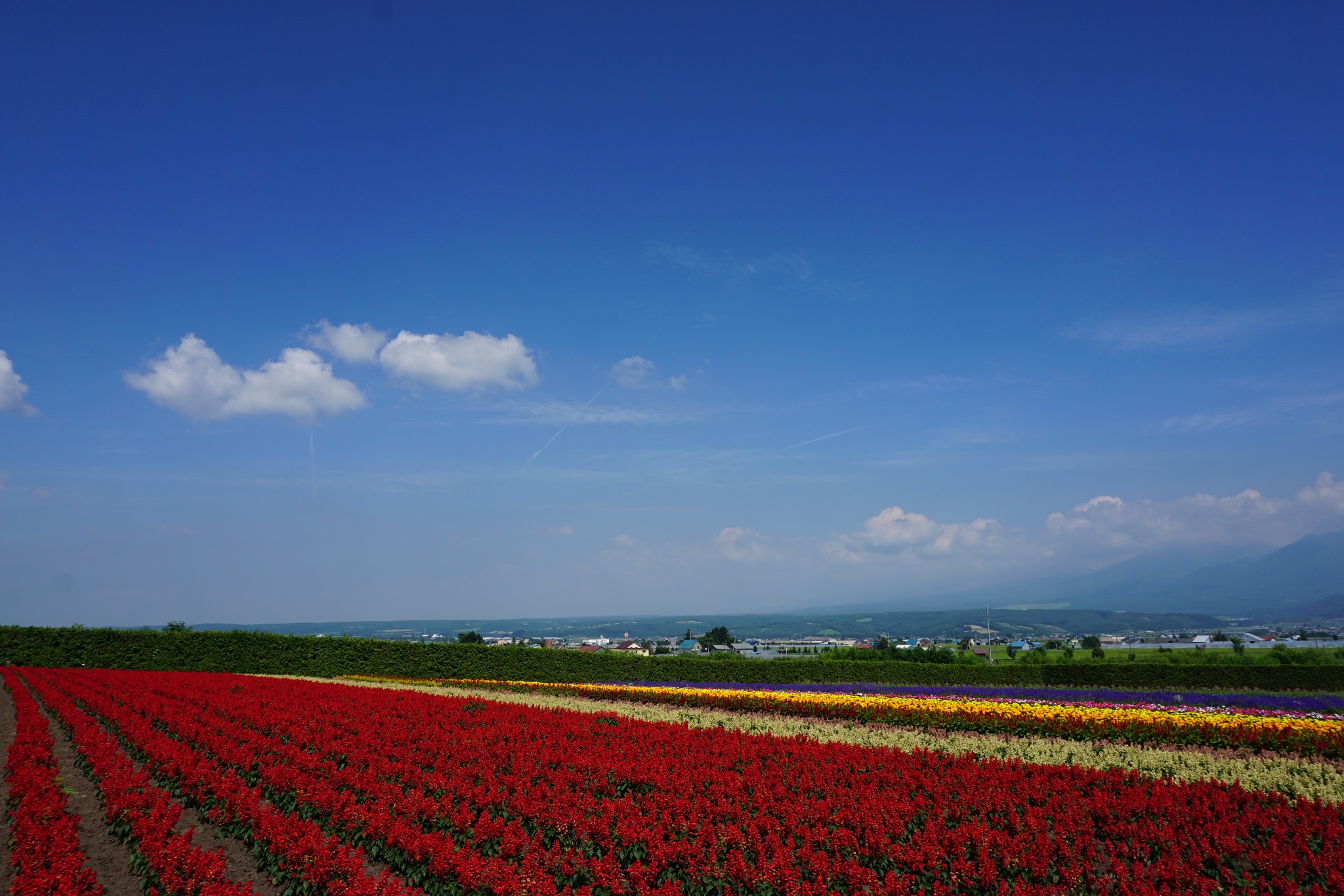 北海道自助遊攻略