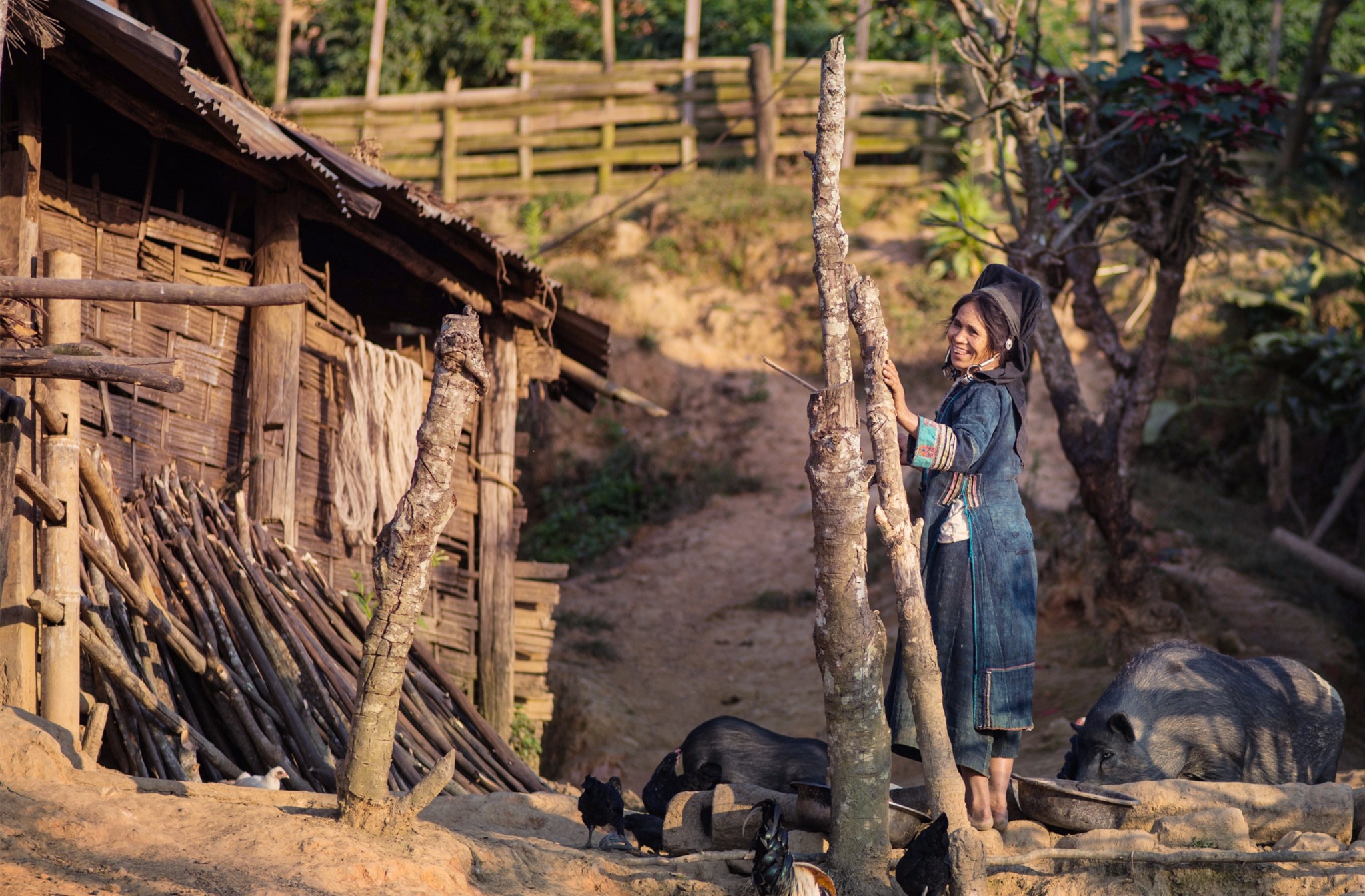 丰沙里老挝追云记寻找日出前的孤岛