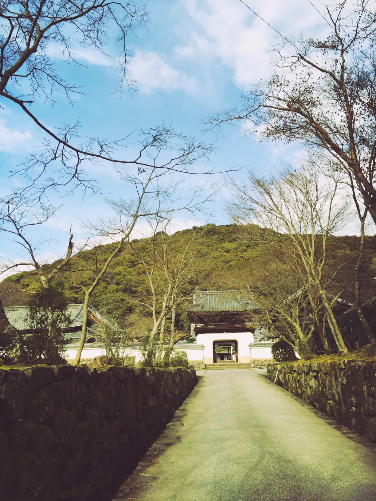 京都自助遊攻略