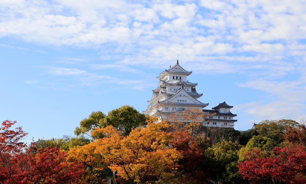 早餐:含   中餐:含   晚餐:含滨名湖弁天度假酒店(hamanako benten