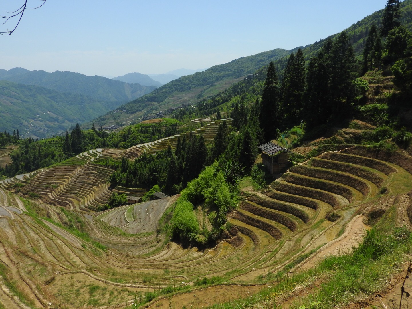 龍脊梯田自助遊攻略