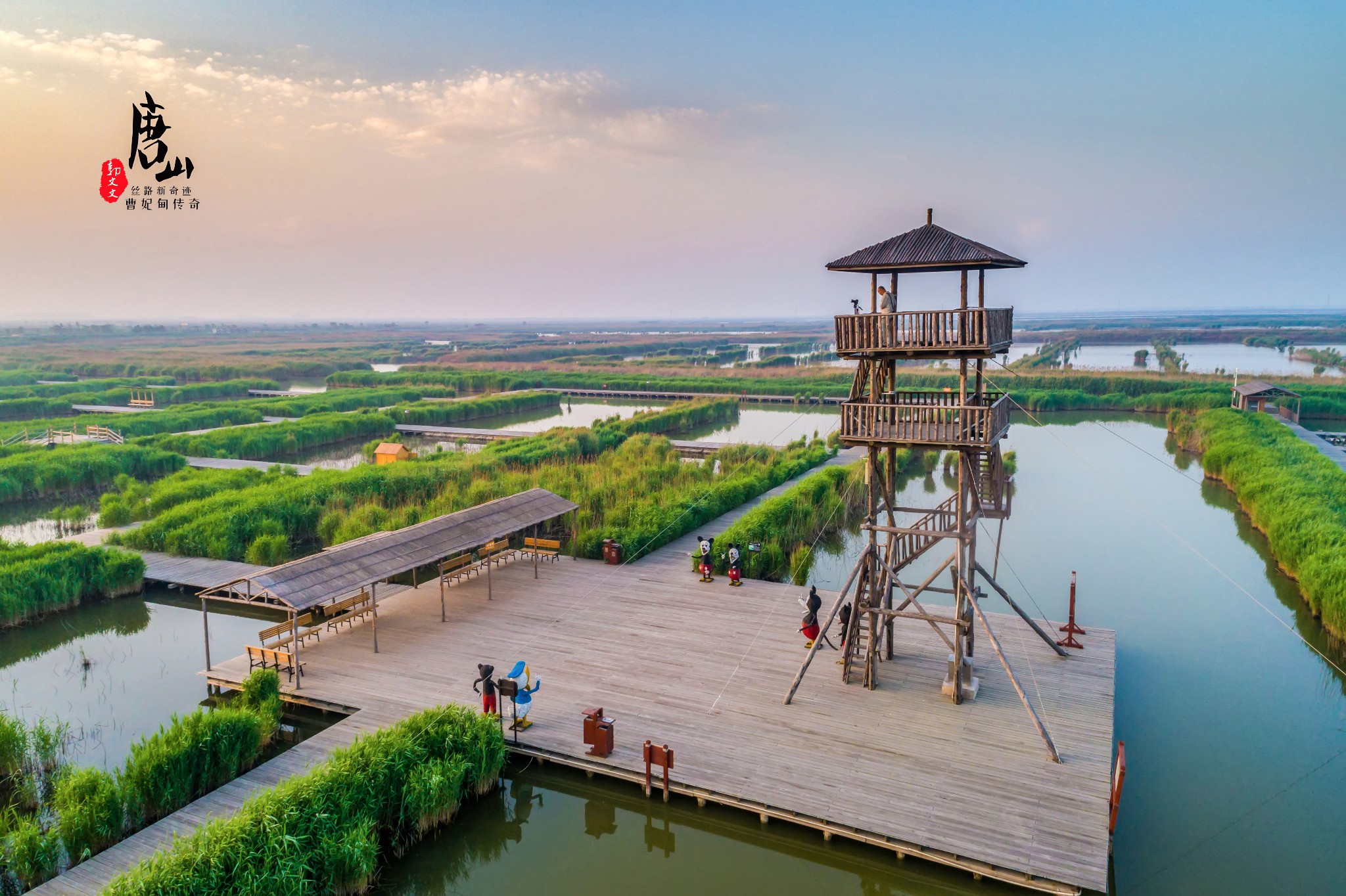 曹妃甸湿地景区