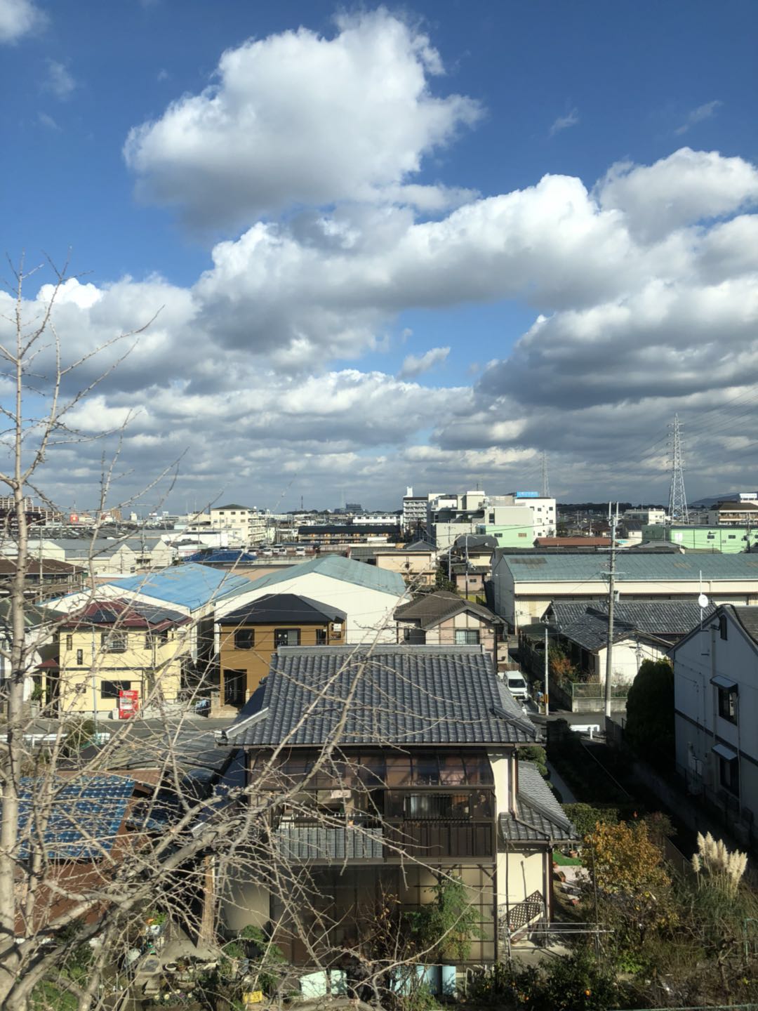 札幌自助遊攻略