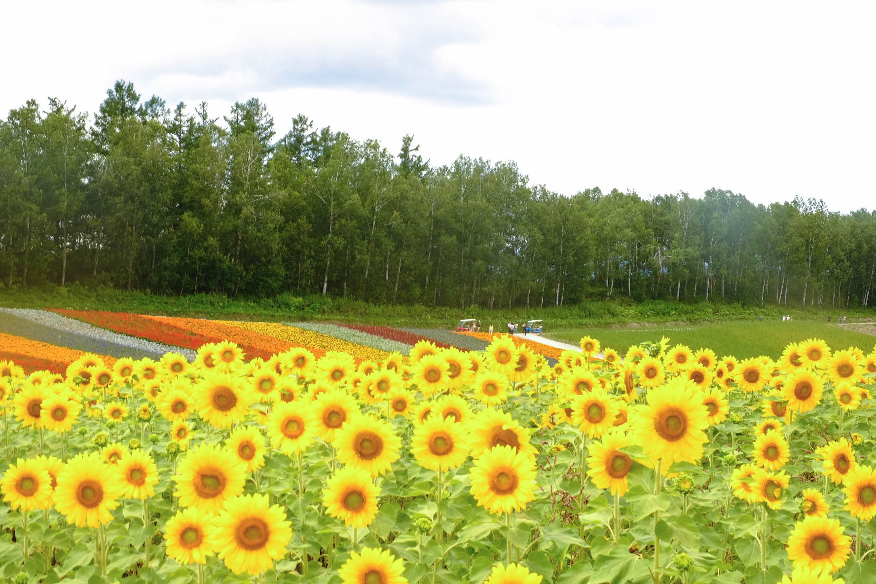 北海道自助遊攻略