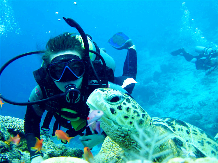 仙本那诗巴丹岛浮潜深潜一日游限量名额潜水圣地专业资深潜水教练专业
