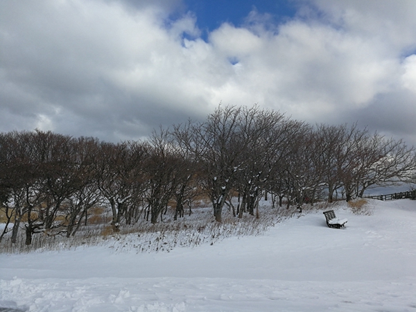 北海道自助遊攻略