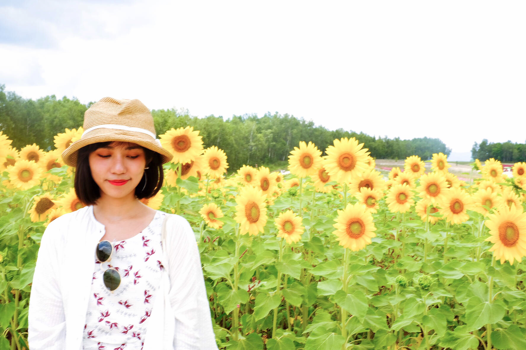 北海道自助遊攻略