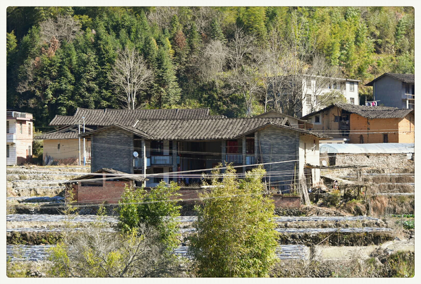 避暑胜地一一尤溪汤川乡