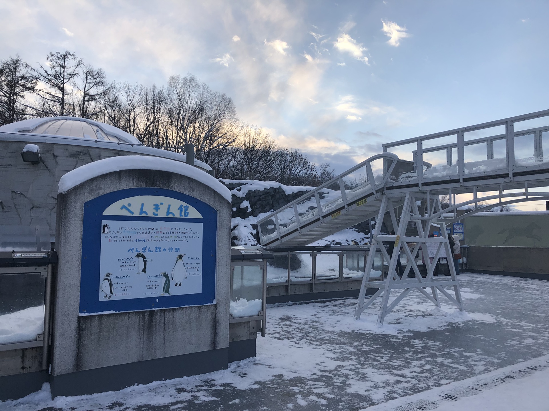 北海道自助遊攻略